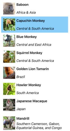 Screenshot of a CollectionView vertical list with a custom single selection color.