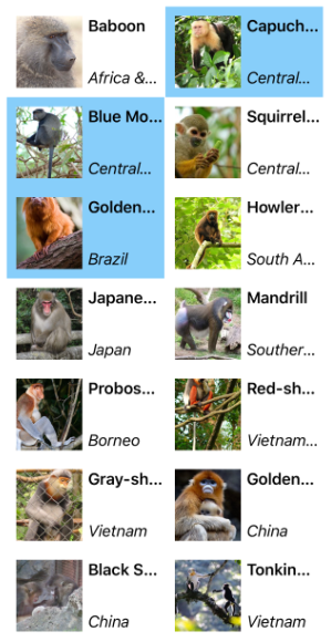 Screenshot of a CollectionView vertical grid layout.