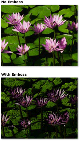 Screenshot: Compare image with and without emboss