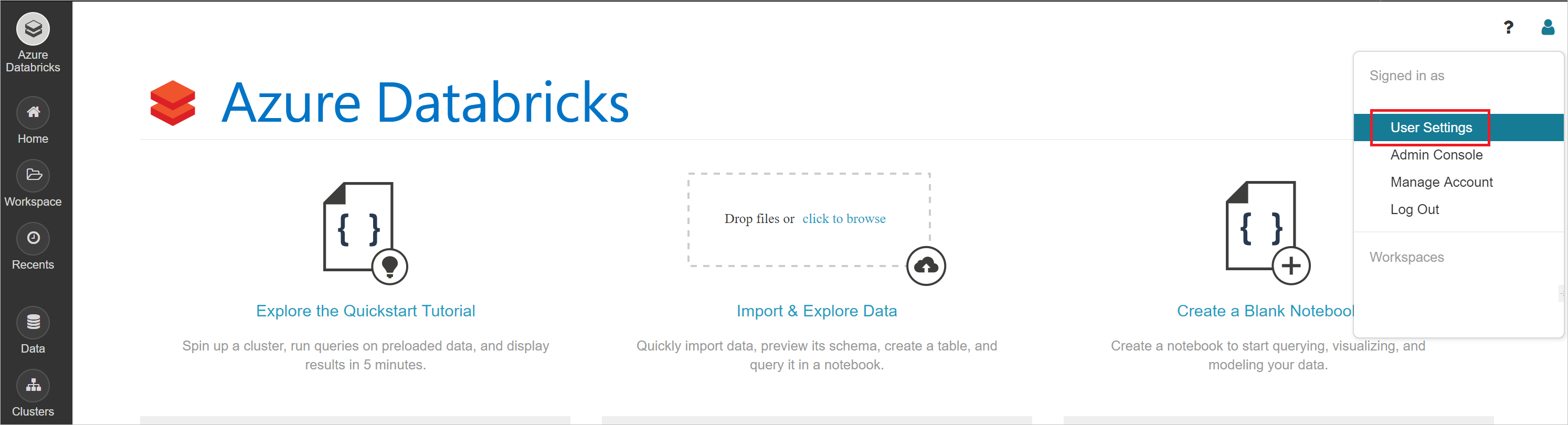 User settings in Azure Databricks workspace