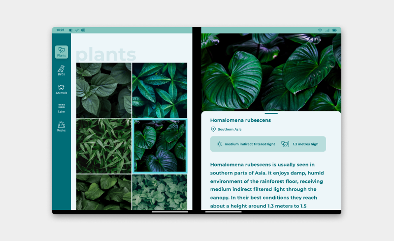 Sample app spanned across two screens, using Navigation Rail on the left screen with five icon elements. Photos of plants are shown on the left screen and a single plant is selected on the right screen, with descriptive text also showing