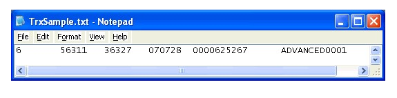 Screenshot of the contents of the transaction text file.