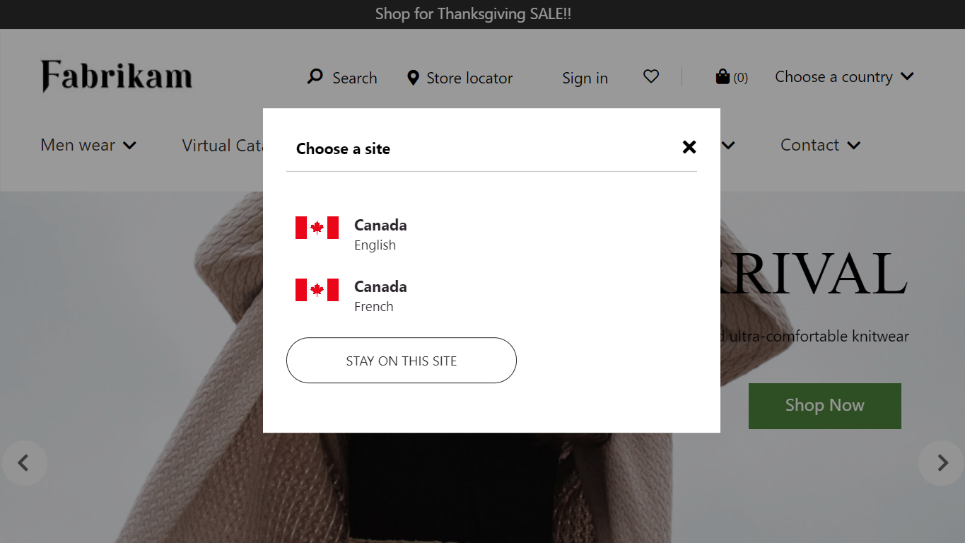 Example of a country/region picker dialog box on a home page.