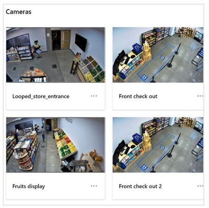 Graphic of store cameras.