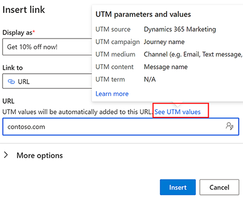 UTM parameters and values.