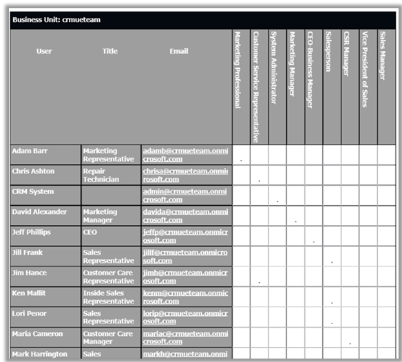 Default User Summary report in Dynamics 365 Customer Engagement (on-premises).