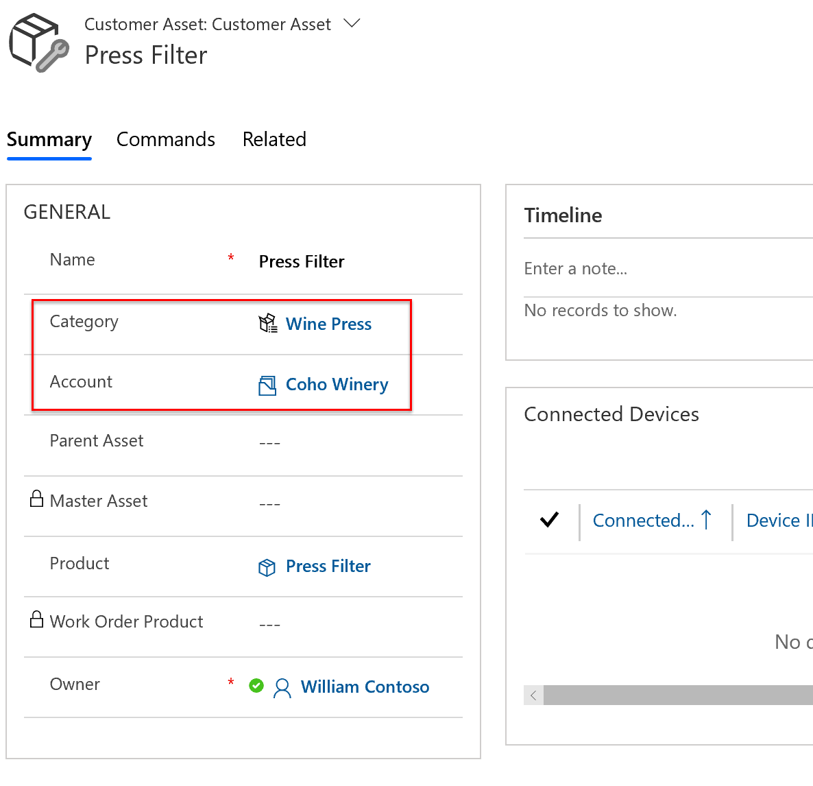 Screenshot of a customer asset with an asset category.