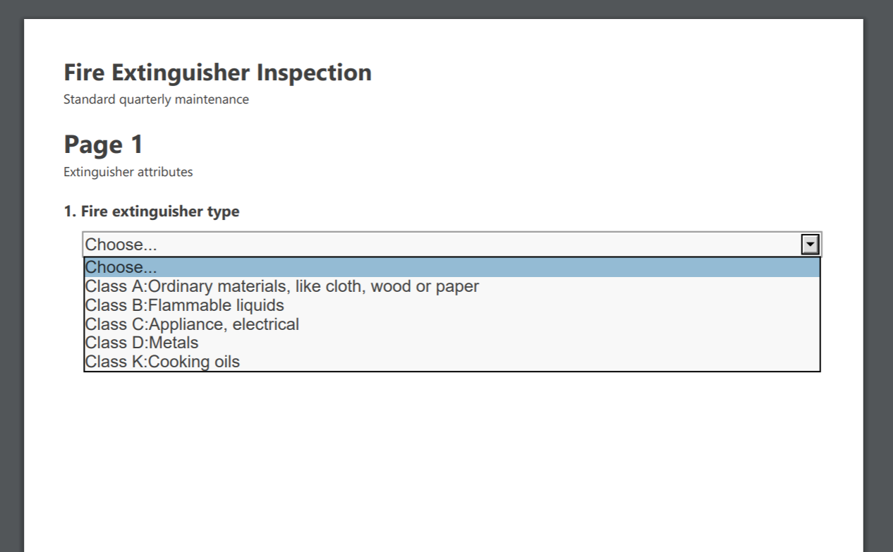 Screenshot of the generated inspection PDF.