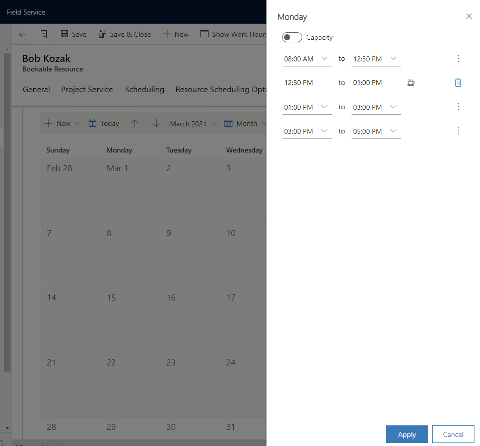 Screenshot of custom work hours on a bookable resource with different capacity on a day.