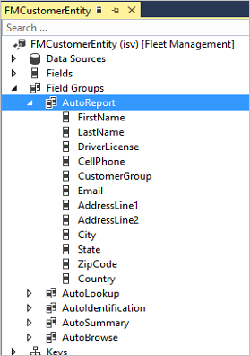 Visual Studio view of AutoReport field group.