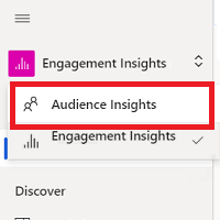 Choose the Audience insights capability in the Customer Insights navigation pane.