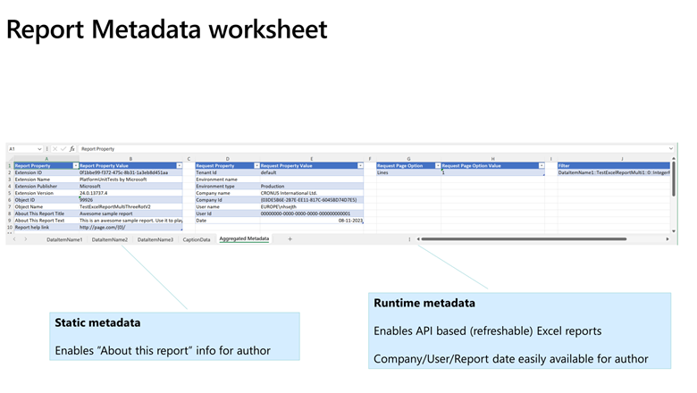 Picture showing the new worksheet with static and runtime metadata