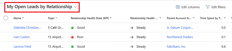Screenshot of the My Open Leads by Relationship view for leads