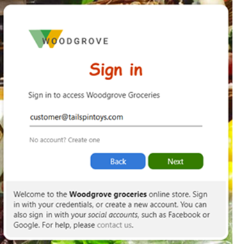 Screenshots of the email with password sign-in screens.