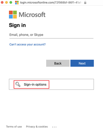 Screenshot of sign-in options.