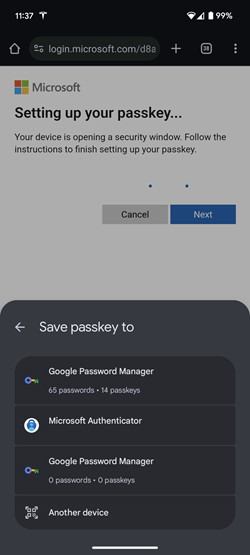 Screenshot of passkey more options on Android device.