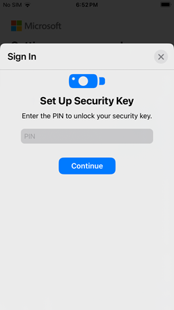 Screenshot asking to provide your pin for the security key connected to an iOS device.