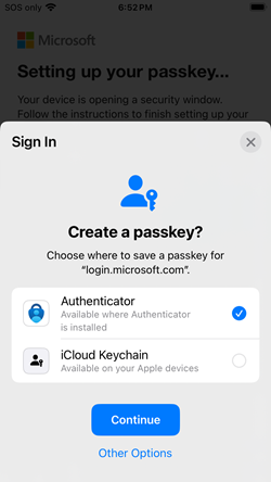 Screenshot of where to save a passkey on iOS.