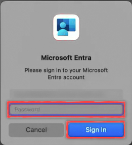 Screenshot of a Microsoft Entra sign in window.