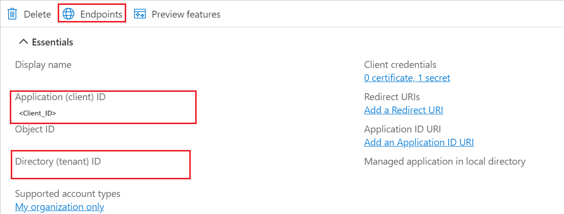 Screenshot of application client values.