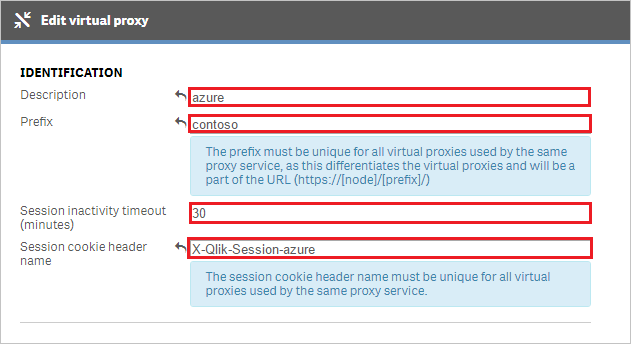 Screenshot shows Edit virtual proxy Identification section where you can enter the values described.