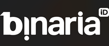 Screenshot of Binaria logo.