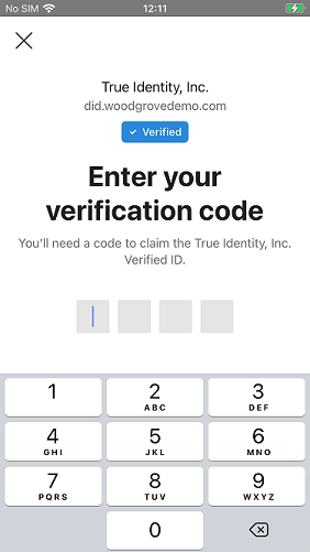 Screenshot of entering pin code screen.