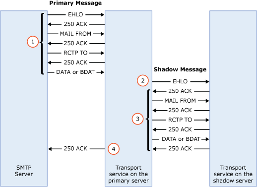 Shadow message creation.