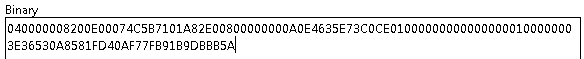 Screenshot of the Binary value of the tag 0x80000102.