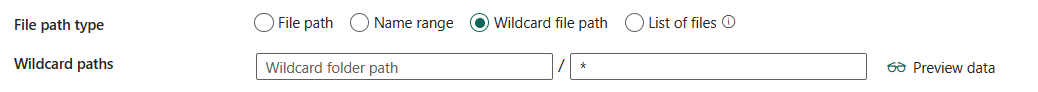 Screenshot showing wildcard file path.