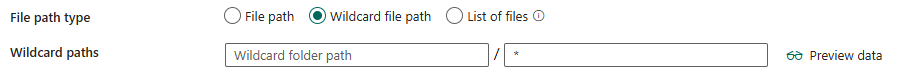 Screenshot showing wildcard file path.