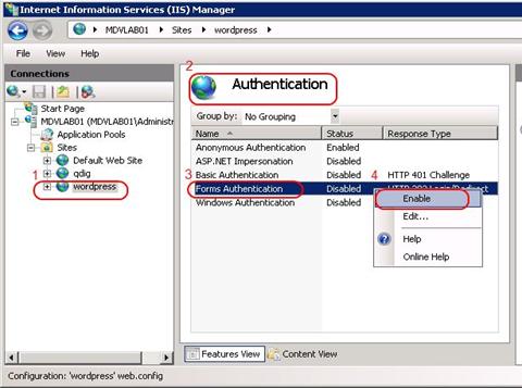 Screenshot of the I I S Manager screen showing the Authentication dialog in the main pane.