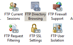 Screenshot of the Home pane. F T P Directory Browsing is highlighted.