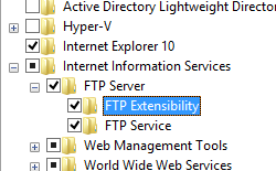 Screenshot of the Programs and Features navigation tree. The F T P Server option has been expanded. The F T P Extensibility option is highlighted and expanded.