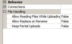 Screenshot of the File Handling expandable field, containing the Allowing Reading Files While Uploading, Alow Replace on Rename, and Keep Partial Uploads specifications.