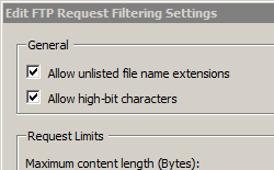 Image of Edit F T P Request Filtering Settings dialog box showing Allow unlisted commands and Allow high bit characters both selected.