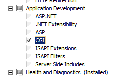 Screenshot shows the Select Role Services page highlighting the C G I checkbox.
