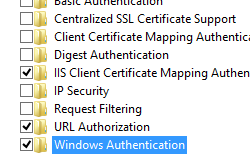 Screenshot of the Internet Information Services folder's contained folders, with the Windows Authentication folder being highlighted.