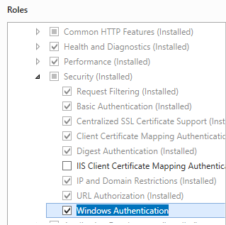 Screenshot of the Windows Authentication option being selected and highlighted.