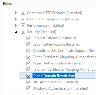 Screenshot showing I P and Domain Restrictions selected.