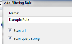 Screenshot shows Add Filtering Rule dialog box with Name field, Scan u r l and Scan query string boxes both checked.