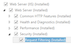 Screenshot shows Web Server and Security pane expanded with Request filtering highlighted.