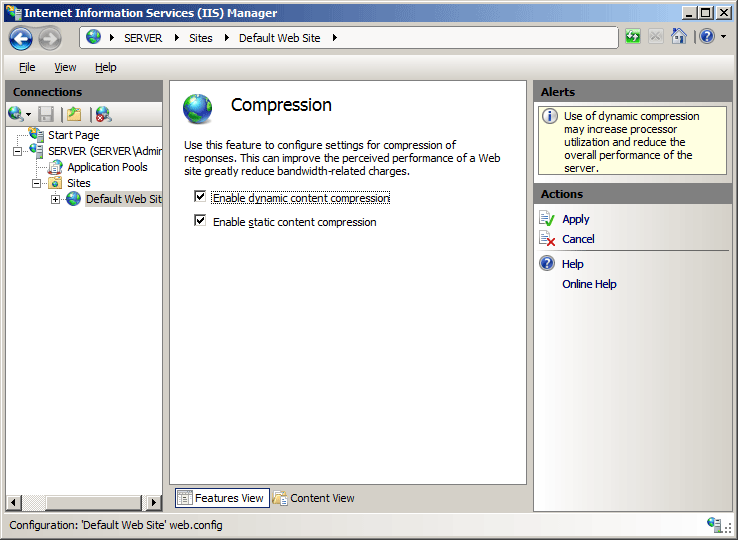 Screenshot of the Compression pane with dynamic content compression and static content compression enabled.