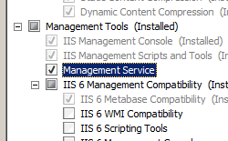 Screenshot of the Add Role Services Wizard with the Management Service option being highlighted.