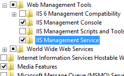Screenshot that shows I I S Management Service with a selected checkbox, under the Web Management Tools node.