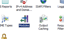 Screenshot of Home pane displaying Modules highlighted.