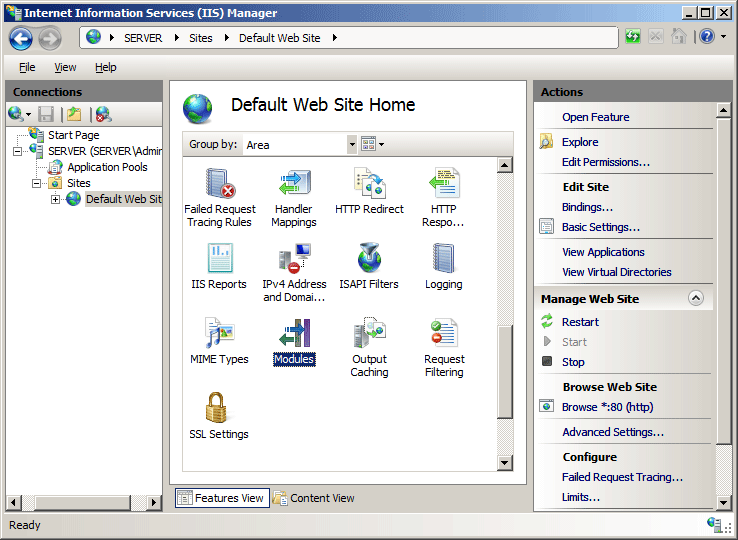 Screenshot of the Default Web Site Home page. The icon for Modules is highlighted.