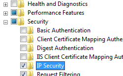 Screenshot that shows I P Security selected for Windows Vista or Windows 7.