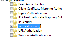 Image of Internet Information Services and World Wide Web pane displaying Request Filtering selected.