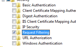 Screenshot that shows Request Filtering selected and highlighted, under the Security node for Windows Vista or Windows 7.